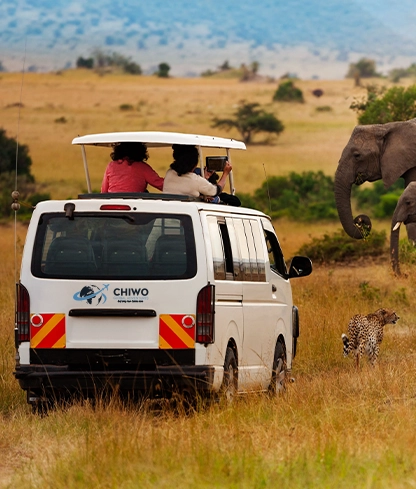 chiwo global about us 1