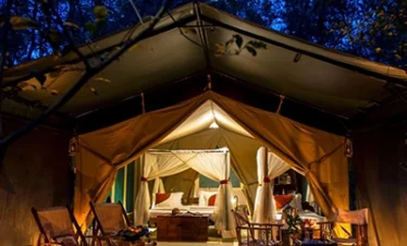 Chiwo Global Camping & Bush Experiences