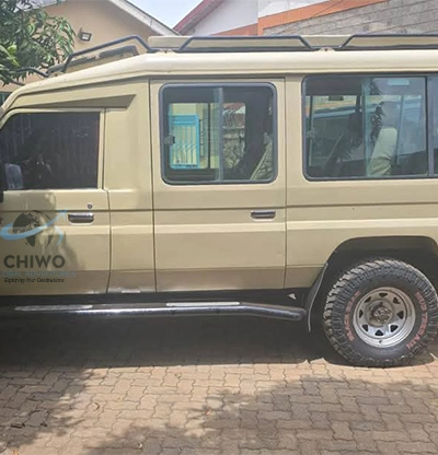 chiwo global car side