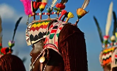 chiwo global cultural tours