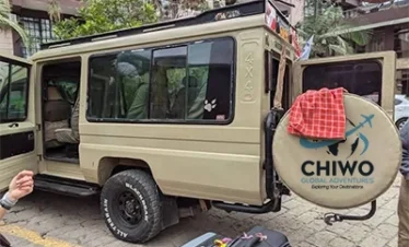 chiwo global touurs
