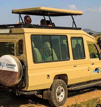 chiwo global why us 1